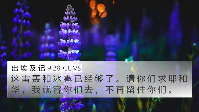 出 埃 及 记 9:28 CUVS Bible Verse Image