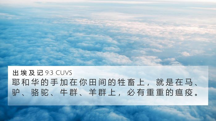 出 埃 及 记 9:3 CUVS Bible Verse Image
