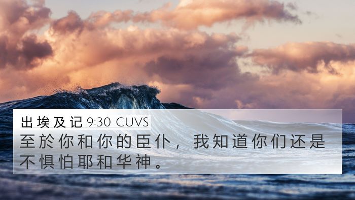 出 埃 及 记 9:30 CUVS 4K Wallpaper - 至 於 你 和 你 的 臣 仆 ， 我 知 道 - 4K Wallpaper Bible Verse