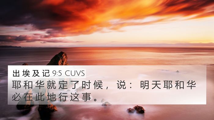 出 埃 及 记 9:5 CUVS Bible Verse Image