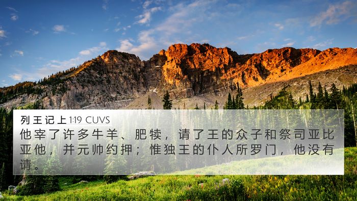 列 王 记 上 1:19 CUVS Bible Verse Image