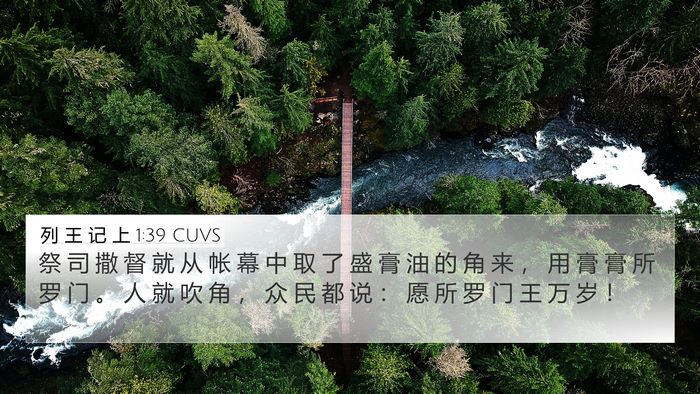 列 王 记 上 1:39 CUVS Bible Verse Image