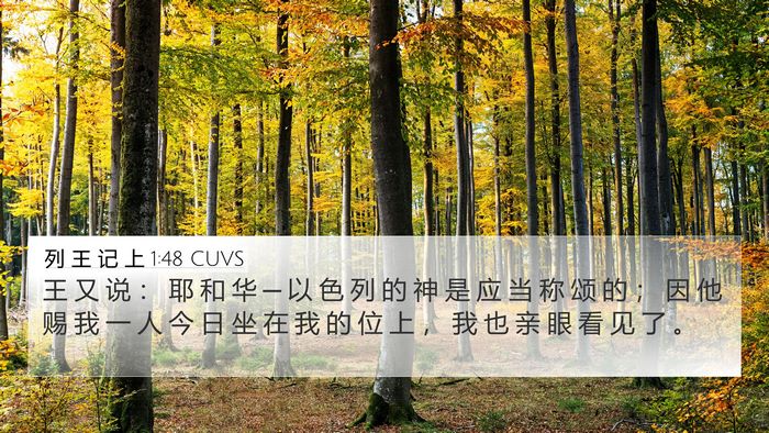 列 王 记 上 1:48 CUVS Bible Verse Image