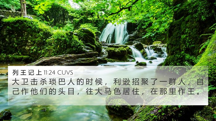 列 王 记 上 11:24 CUVS Bible Verse Image