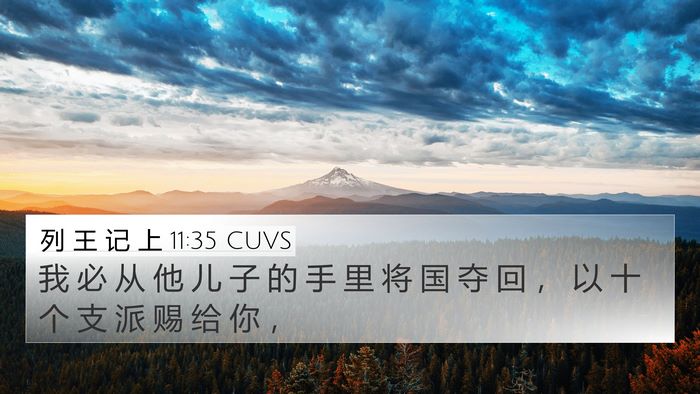 列 王 记 上 11:35 CUVS 4K Wallpaper - 我 必 从 他 儿 子 的 手 里 将 国 夺 - 4K Wallpaper Bible Verse