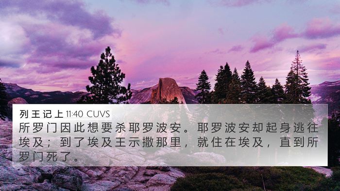 列 王 记 上 11:40 CUVS Bible Verse Image