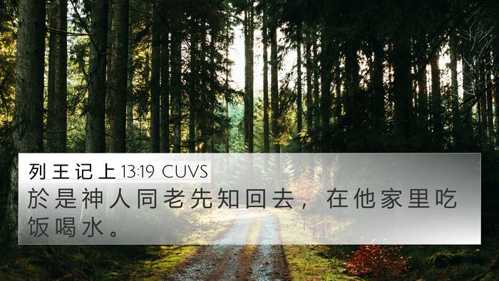 列 王 记 上 13:19 CUVS 4K Wallpaper - 於 是 神 人 同 老 先 知 回 去 ， 在 - 4K Wallpaper Bible Verse