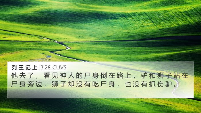 列 王 记 上 13:28 CUVS 4K Wallpaper - 他 去 了 ， 看 见 神 人 的 尸 身 倒 - 4K Wallpaper Bible Verse