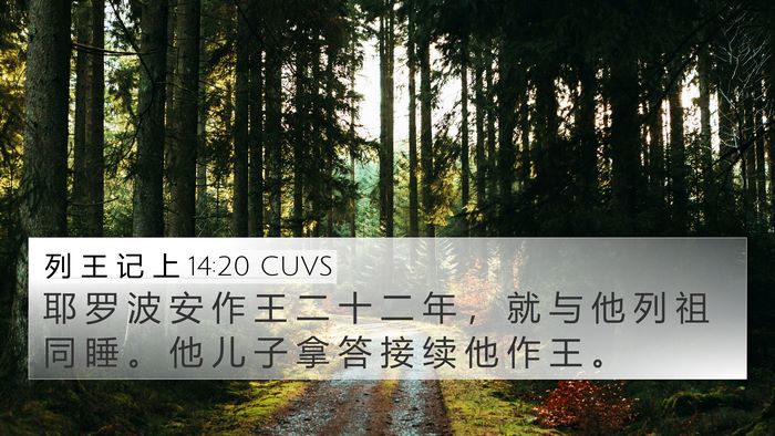 列 王 记 上 14:20 CUVS Bible Verse Image