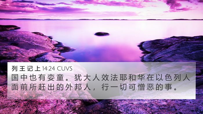 列 王 记 上 14:24 CUVS Bible Verse Image