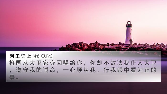 列 王 记 上 14:8 CUVS Bible Verse Image