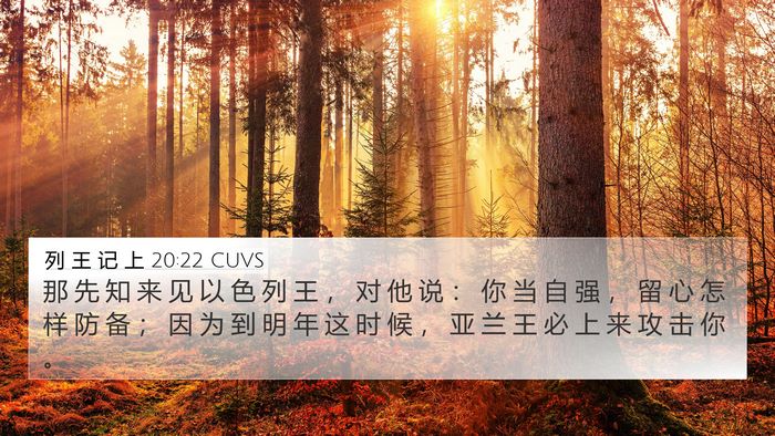 列 王 记 上 20:22 CUVS Bible Verse Image