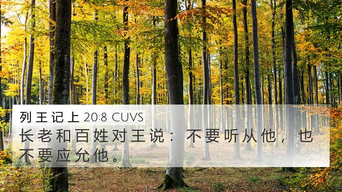 列 王 记 上 20:8 CUVS 4K Wallpaper - 长 老 和 百 姓 对 王 说 ： 不 要 听 - 4K Wallpaper Bible Verse