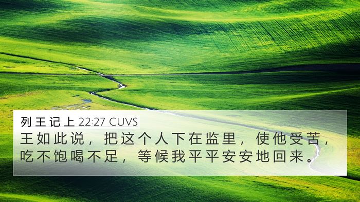 列 王 记 上 22:27 CUVS Bible Verse Image