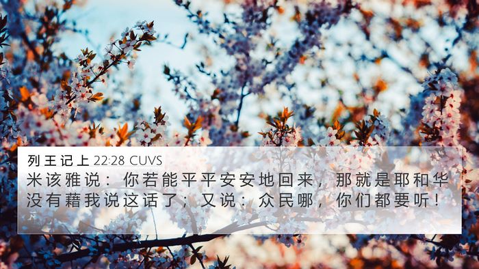 列 王 记 上 22:28 CUVS Bible Verse Image