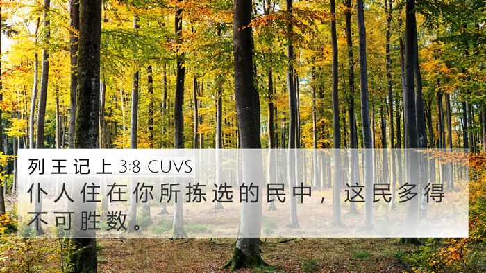 列 王 记 上 3:8 CUVS 4K Wallpaper - 仆 人 住 在 你 所 拣 选 的 民 中 ， - 4K Wallpaper Bible Verse