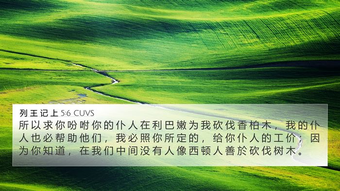 列 王 记 上 5:6 CUVS Bible Verse Image