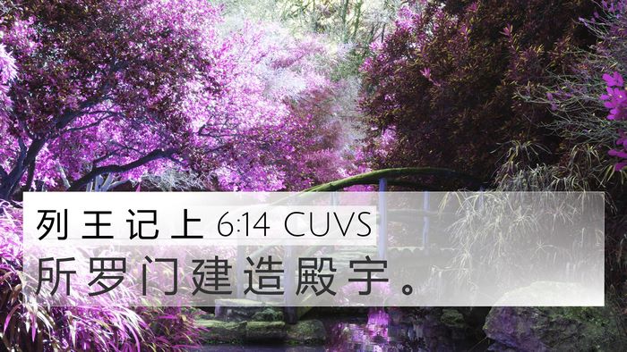 列 王 记 上 6:14 CUVS Bible Verse Image