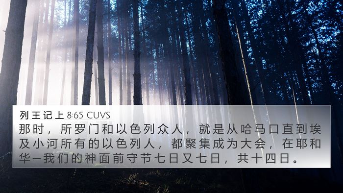 列 王 记 上 8:65 CUVS Bible Verse Image