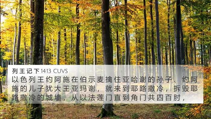 列 王 记 下 14:13 CUVS 4K Wallpaper - 以 色 列 王 约 阿 施 在 伯 示 麦 擒 - 4K Wallpaper Bible Verse