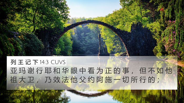 列 王 记 下 14:3 CUVS Bible Verse Image