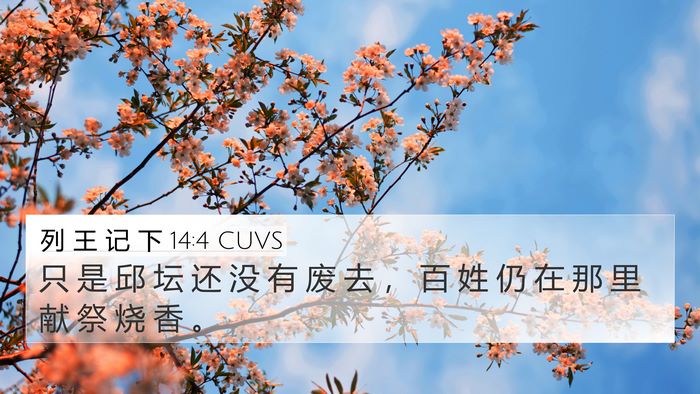 列 王 记 下 14:4 CUVS Bible Verse Image