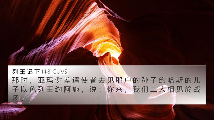 列 王 记 下 14:8 CUVS Bible Verse Image