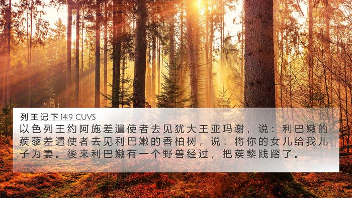 列 王 记 下 14:9 CUVS Bible Verse Image