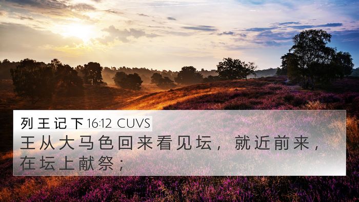 列 王 记 下 16:12 CUVS 4K Wallpaper - 王 从 大 马 色 回 来 看 见 坛 ， 就 - 4K Wallpaper Bible Verse