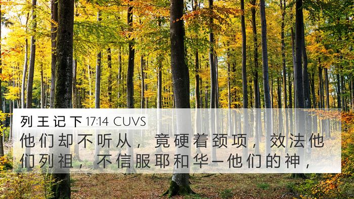 列 王 记 下 17:14 CUVS Bible Verse Image