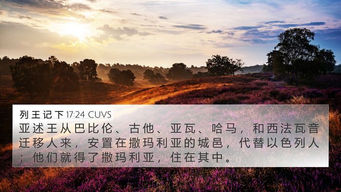列 王 记 下 17:24 CUVS Bible Verse Image