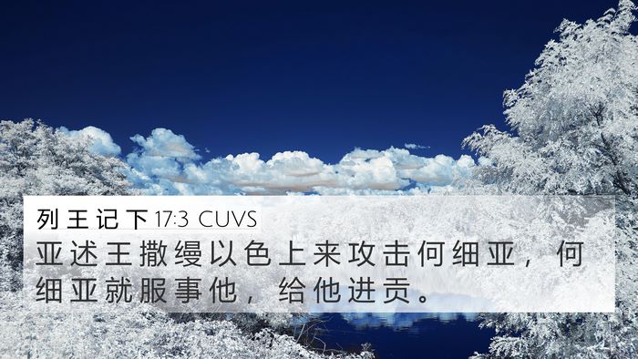 列 王 记 下 17:3 CUVS Bible Verse Image