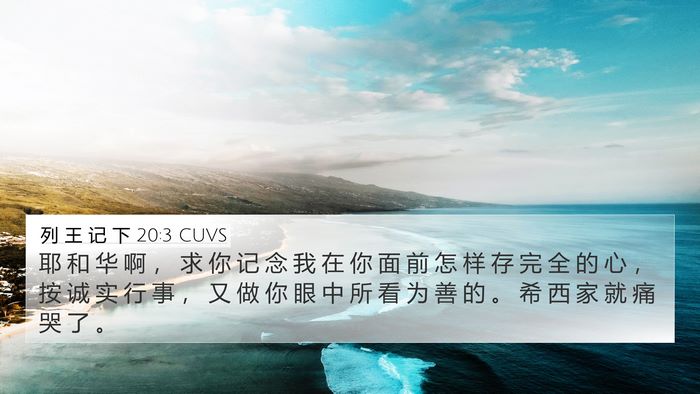 列 王 记 下 20:3 CUVS Bible Verse Image