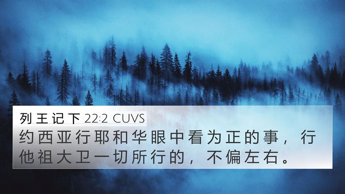 列 王 记 下 22:2 CUVS Bible Verse Image