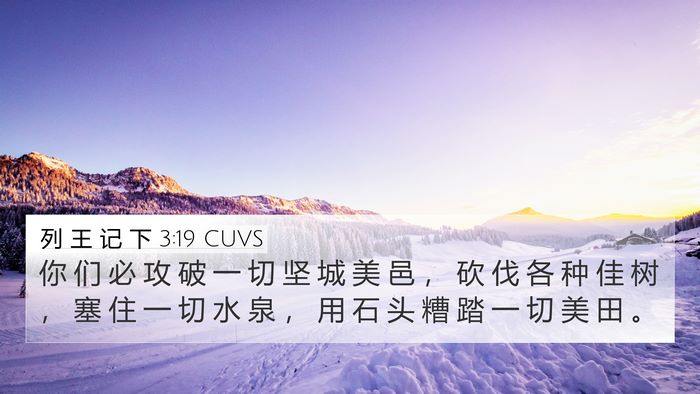 列 王 记 下 3:19 CUVS 4K Wallpaper - 你 们 必 攻 破 一 切 坚 城 美 邑 ， - 4K Wallpaper Bible Verse