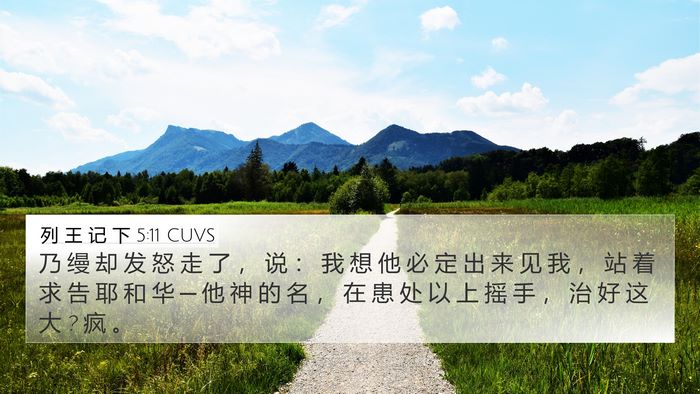 列 王 记 下 5:11 CUVS Bible Verse Image