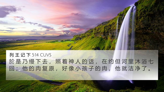 列 王 记 下 5:14 CUVS Bible Verse Image