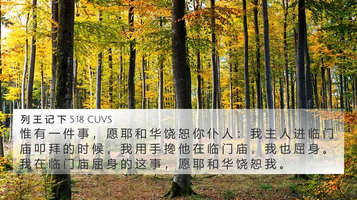 列 王 记 下 5:18 CUVS 4K Wallpaper - 惟 有 一 件 事 ， 愿 耶 和 华 饶 恕 - 4K Wallpaper Bible Verse