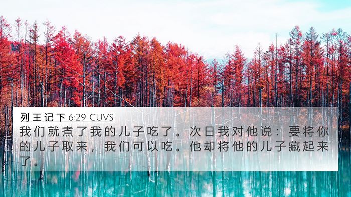 列 王 记 下 6:29 CUVS 4K Wallpaper - 我 们 就 煮 了 我 的 儿 子 吃 了 。 - 4K Wallpaper Bible Verse