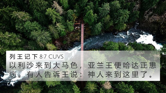 列 王 记 下 8:7 CUVS Bible Verse Image