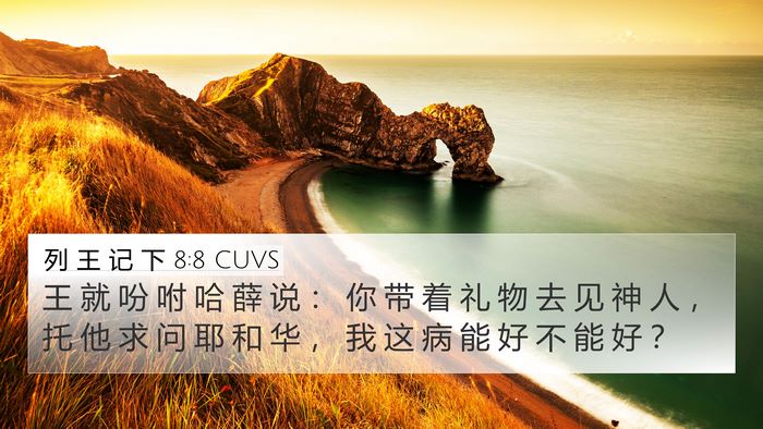 列 王 记 下 8:8 CUVS Bible Verse Image