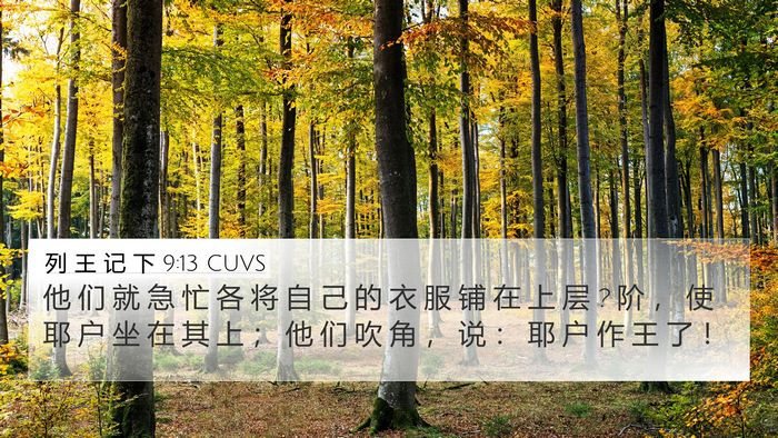 列 王 记 下 9:13 CUVS Bible Verse Image