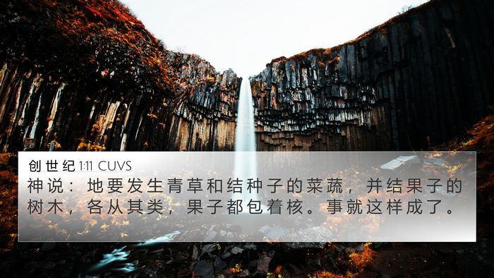 创 世 纪 1:11 CUVS 4K Wallpaper - 神 说 ： 地 要 发 生 青 草 和 结 种 - 4K Wallpaper Bible Verse
