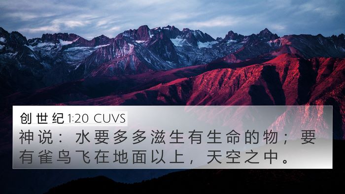 创 世 纪 1:20 CUVS 4K Wallpaper - 神 说 ： 水 要 多 多 滋 生 有 生 命 - 4K Wallpaper Bible Verse