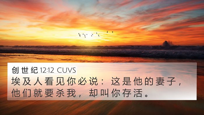 创 世 纪 12:12 CUVS Bible Verse Image