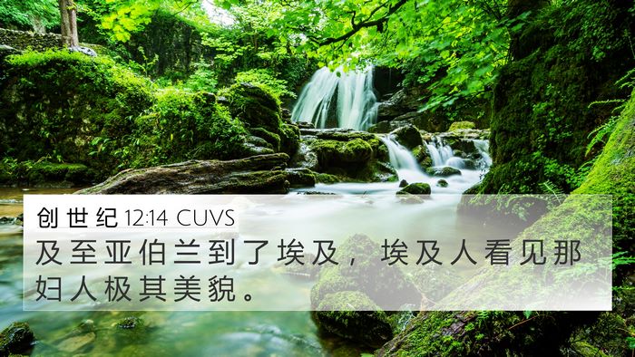 创 世 纪 12:14 CUVS Bible Verse Image