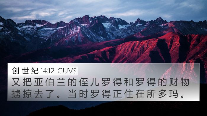 创 世 纪 14:12 CUVS Bible Verse Image
