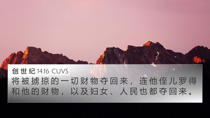 创 世 纪 14:16 CUVS Bible Verse Image