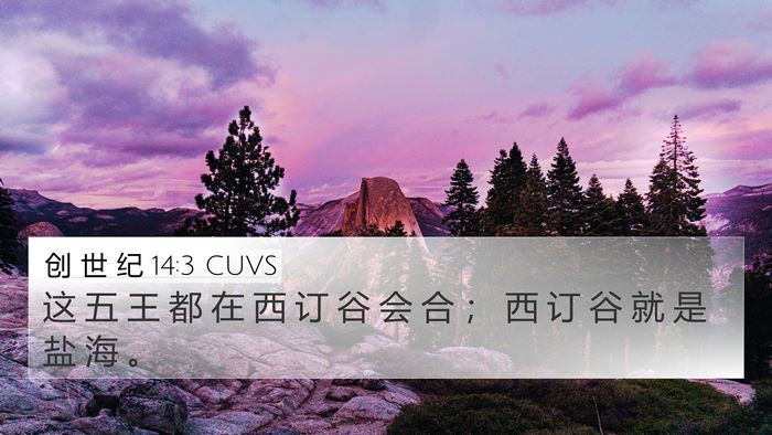 创 世 纪 14:3 CUVS Bible Verse Image