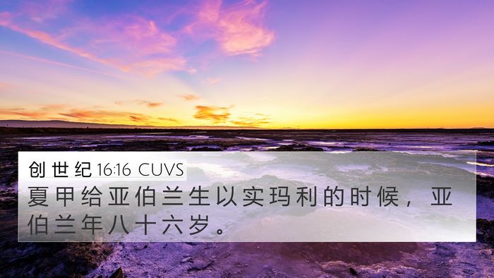 创 世 纪 16:16 CUVS 4K Wallpaper - 夏 甲 给 亚 伯 兰 生 以 实 玛 利 的 - 4K Wallpaper Bible Verse